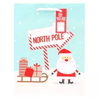 Bolsa Surtida para Regalo Mediana SIN ASIGNAR CGBT2A-44 2