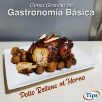 Pollo Relleno al Horno TIPS RA0000258