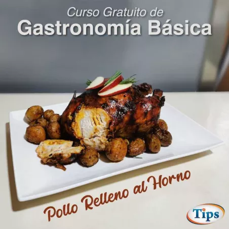 Pollo Relleno al Horno TIPS RA0000258