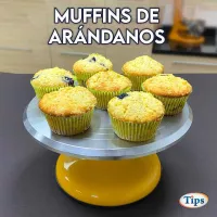 Muffins de Arandanos TIPS RA0001091