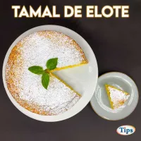 Tamal de Elote TIPS RA0000074