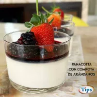 Panacotta con Compota de Arandanos TIPS RA0000418