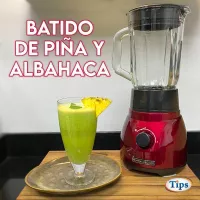 Batido de Pina TIPS RA0001072