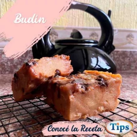 Budin TIPS RA0000540