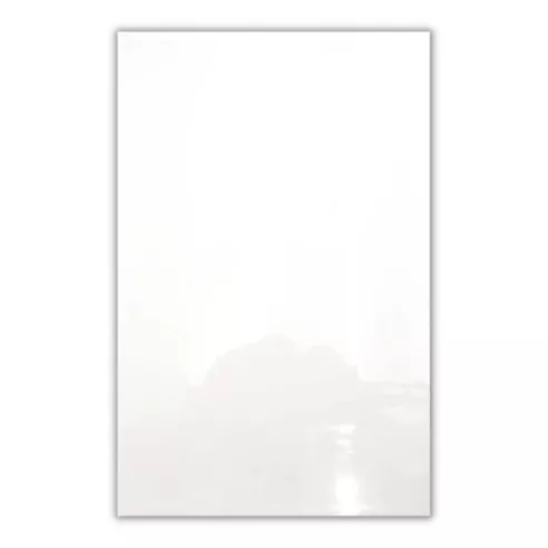 Plato Rectangular Coupe de Ceramica de 32 x 20 x 2 Centimetros TIPS HQ-4528