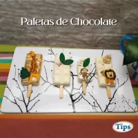 Paletas de Chocolate TIPS RA0000120