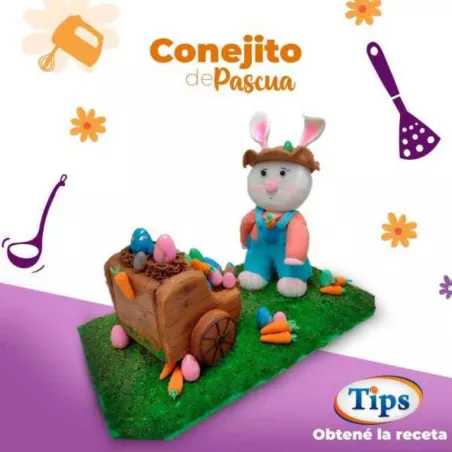 Conejito de Pascua TIPS RA0000568