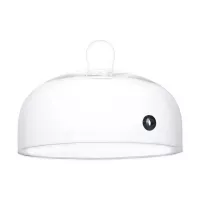 Domo Ahumador de 28 x 19.5 Centimetros MASTER CHEF  HLX-ZBKU02