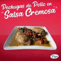 Pechugas de Pollo en Salsa Cremosa TIPS RA0000255