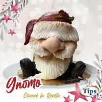 Gnomo TIPS RA0000377