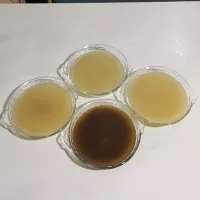 Fondos TIPS RA0000207 2