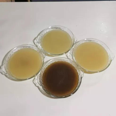 Fondos TIPS RA0000207