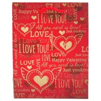 Bolsa para Regalo Grande SIN ASIGNAR VGBT111V2