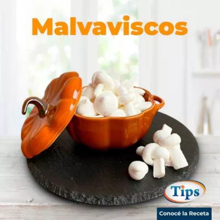 Malvaviscos TIPS RA0000682