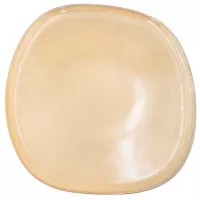 Plato Dublin de Ceramica de 27 Centimetros MASTER CHEF 3747 2