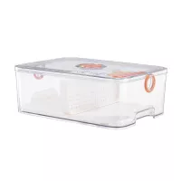 Contenedor para Almacenaje de Plastico de 4 Litros TIPS HLJ-097