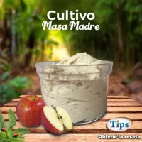 Cultivo Masa Madre TIPS RA0000583