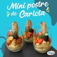 Mini Postre de Carlota TIPS RA0000227