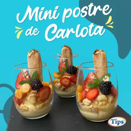 Mini Postre de Carlota TIPS RA0000227
