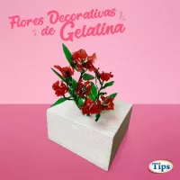 Flores Decorativas de Gelatina TIPS RA0000205