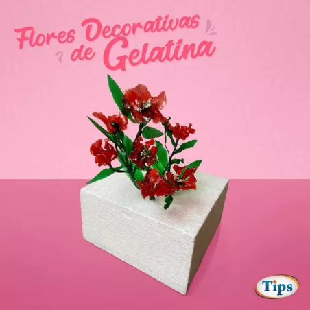 Flores Decorativas de Gelatina TIPS RA0000205
