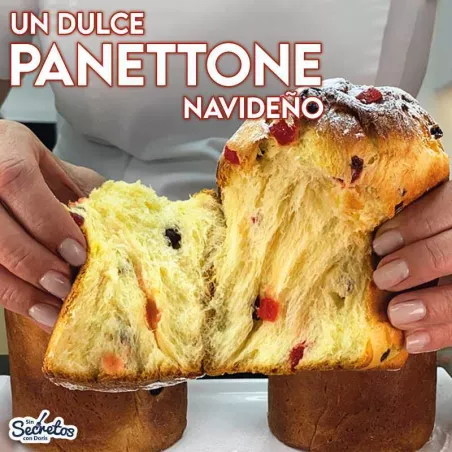 Panettone Navideno TIPS RA0000045