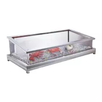 Bandeja para Hielo de 120 x 60 x 28 Centimetros de 110V MASTER CHEF 2039-12