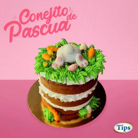 Conejito de Pascua TIPS RA0000176