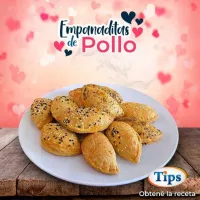 Empanaditas de Pollo TIPS RA0000609