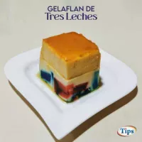 Gelaflan de Tres Leches TIPS RA0000104