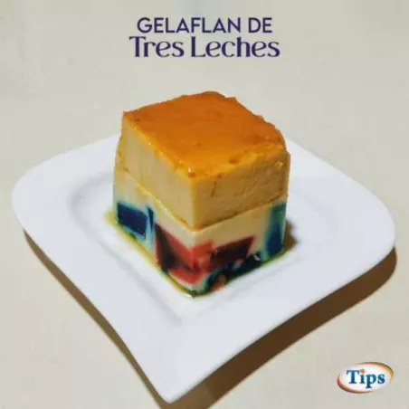 Gelaflan de Tres Leches TIPS RA0000104