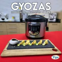 Gyozas de Cerdo TIPS RA0001059