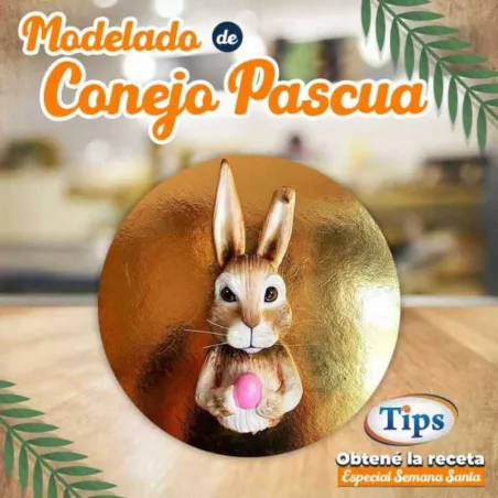 Modelado de Conejo de Pascua TIPS RA0000697