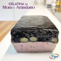 Gelatina de Mora y Arandano TIPS RA0000105