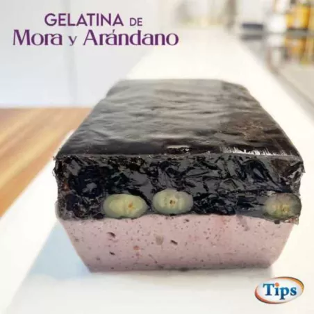Gelatina de Mora y Arandano TIPS RA0000105
