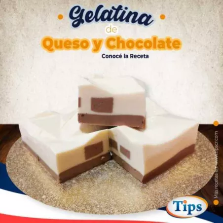 Gelatina de Queso y Chocolate TIPS RA0000375