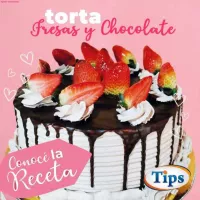 Torta Fria de Choco Fresa TIPS RA0001051