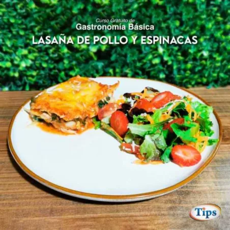 Lasana de Pollo y Espinaca TIPS RA0000108