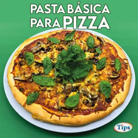 Pasta Basica para Pizza TIPS RA0000069