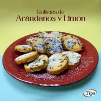 Galletas de Arandanos y Limon TIPS RA0000028