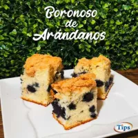 Boronoso de Arandanos TIPS RA0000080