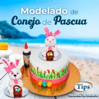 Modelado de Conejo de Pascua TIPS RA0000698