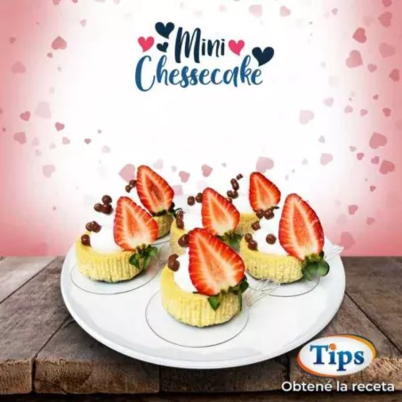 Mini Chessecake TIPS RA0000693