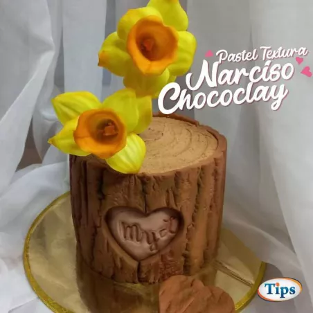 Pastel Textura y Narciso Chococlay TIPS RA0000253