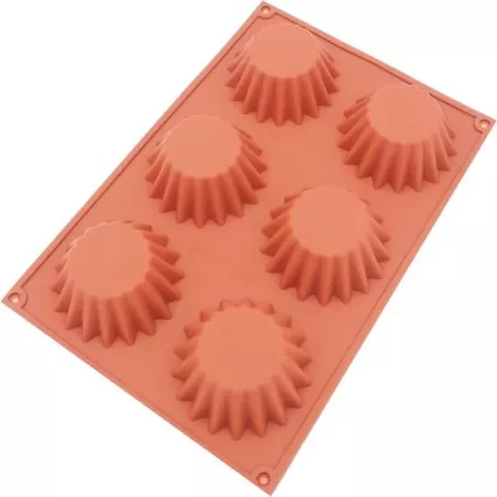 Molde de Silicon de Tartas de 6 Cavidades TIPS RRA02-76