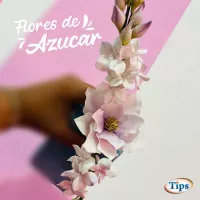 Flores de Azucar TIPS RA0000204