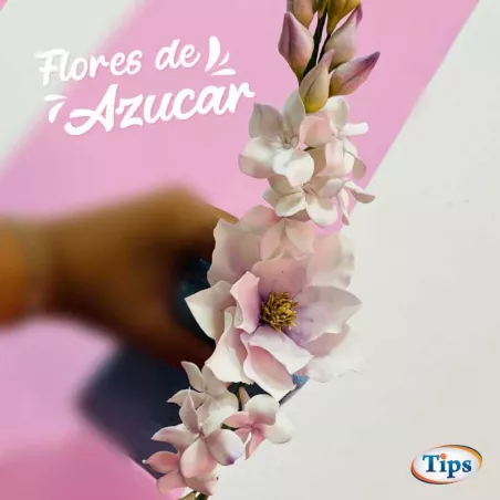 Flores de Azucar TIPS RA0000204