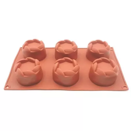 Molde de Silicon de Nido de 6 Cavidades TIPS RRA02-26