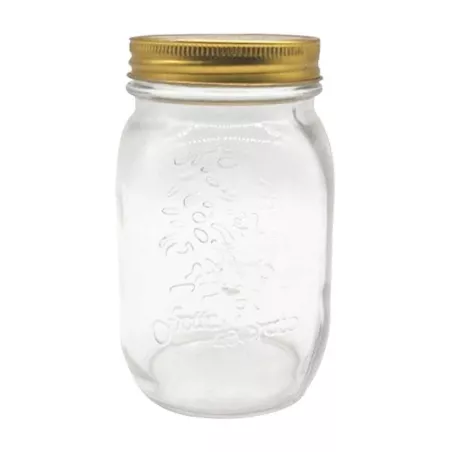 Frasco de Vidrio Transparente Vintange de 450 Mililitros TIPS A-183