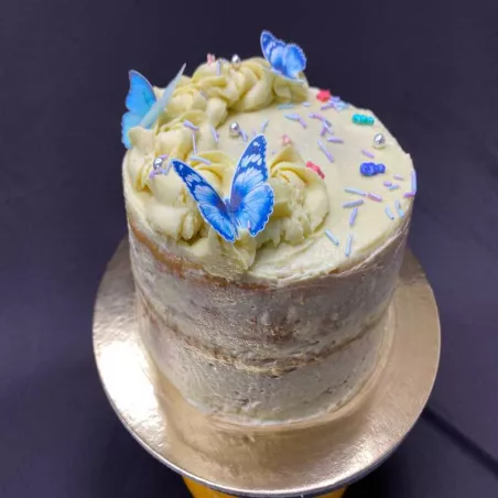 Queque Basico TIPS RA0001070